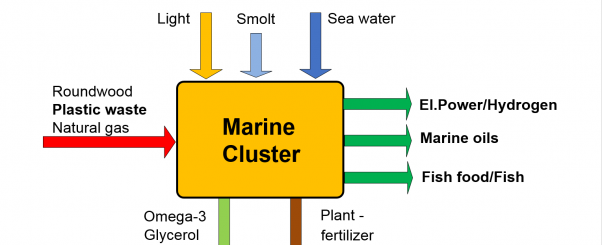 From Plastic Waste and Wood to Fish Farming and Energy